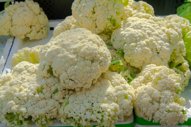 新鲜花椰菜堆满盘图片