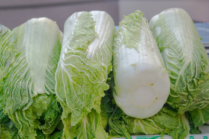 新鲜大白菜整齐摆放图片