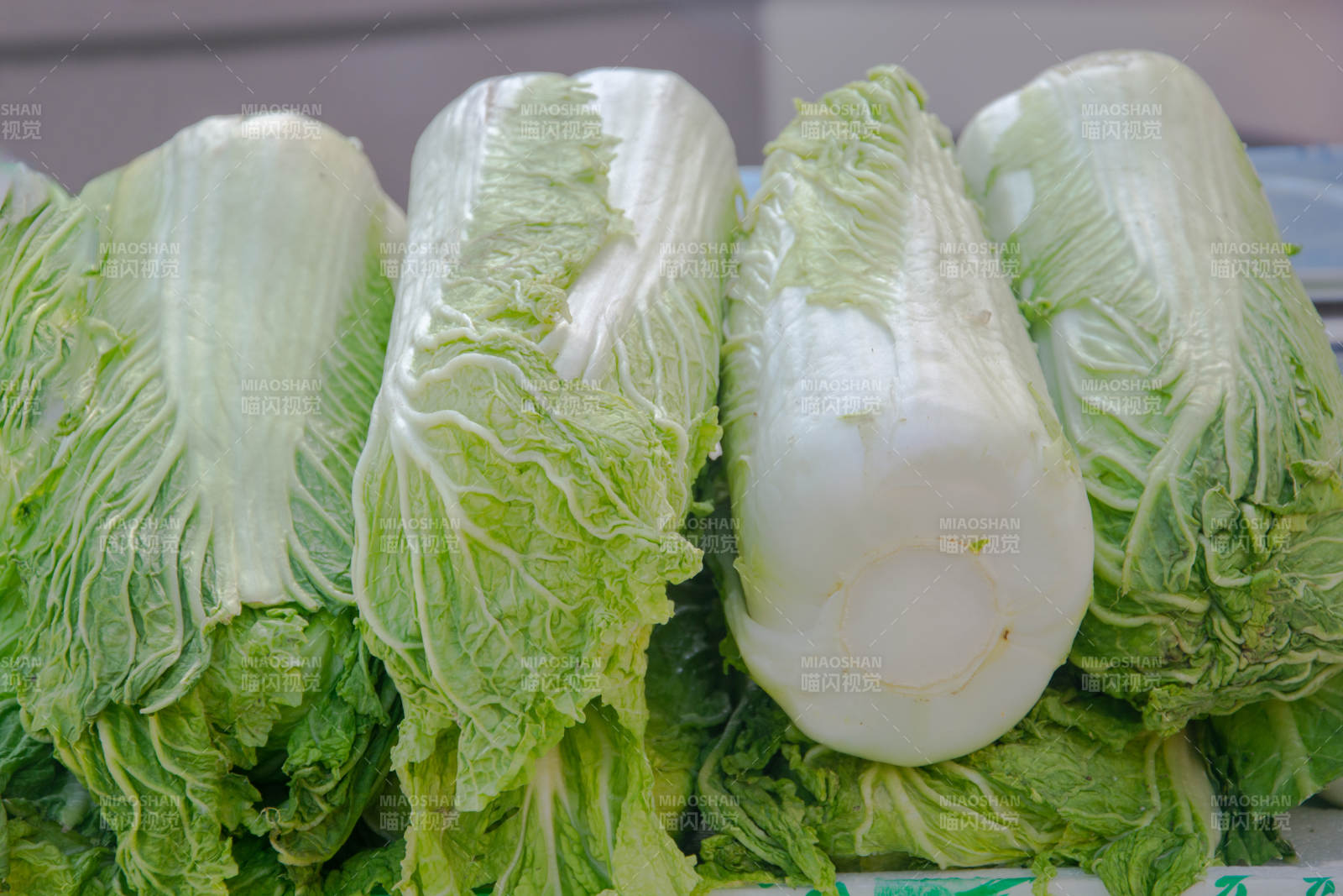 新鲜大白菜整齐摆放图片