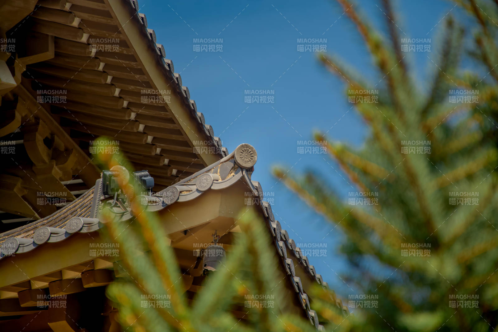 古寺屋檐映蓝天松影图片