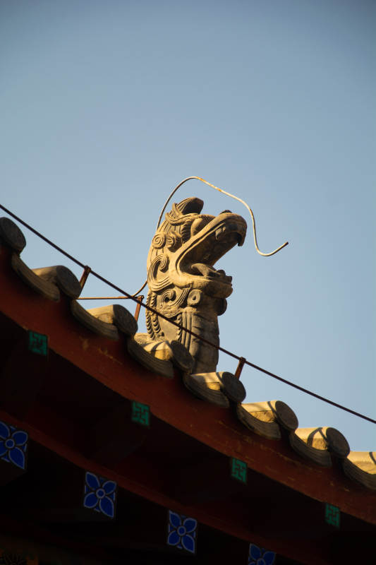 屋脊龙吻迎蓝天图片