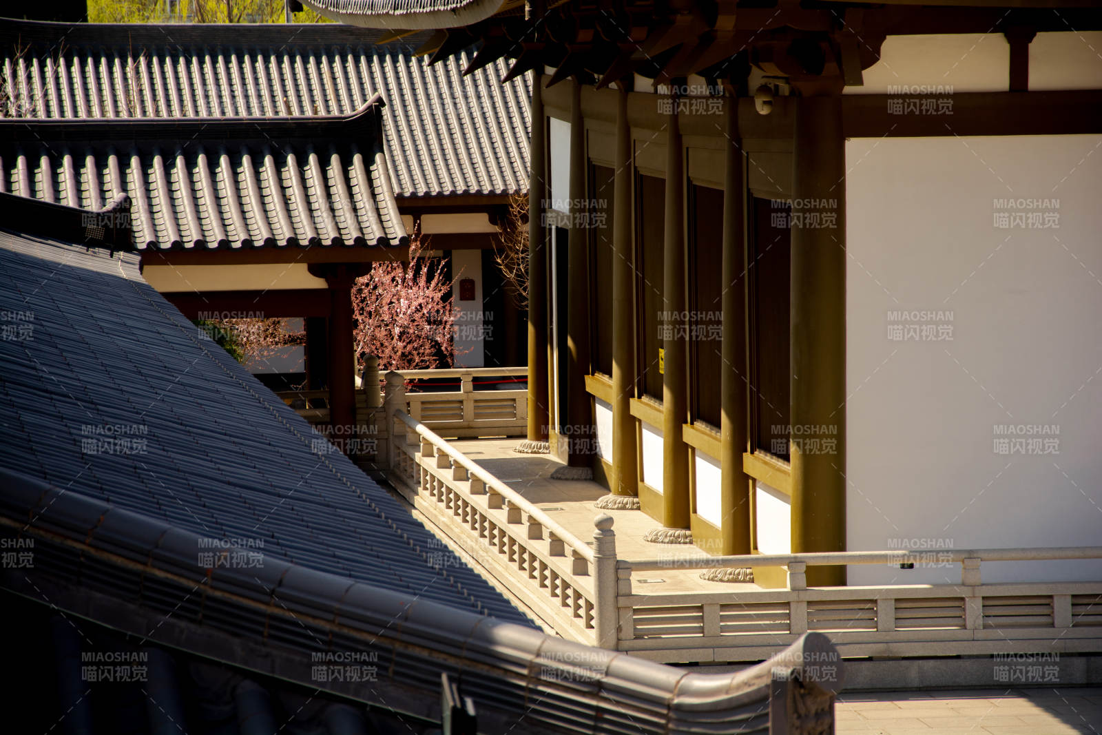 古寺春樱映廊桥图片