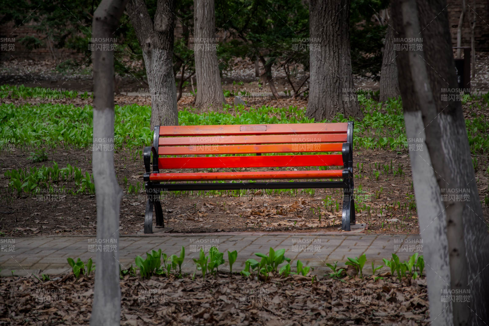 林间红椅静候春图片