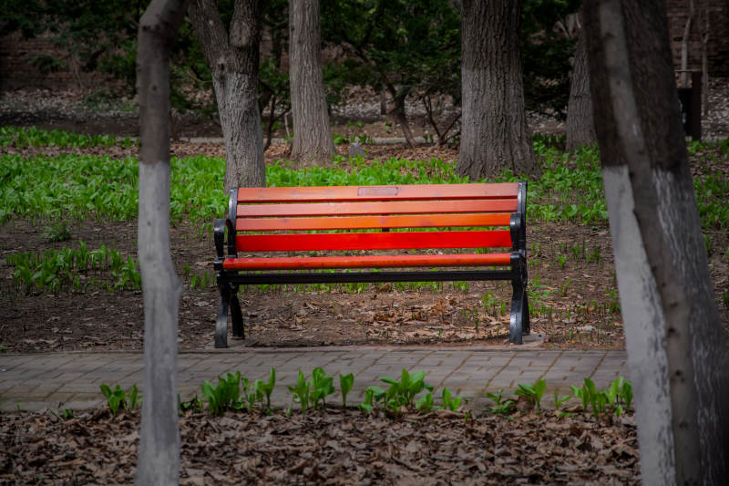 林间红椅静候春图片