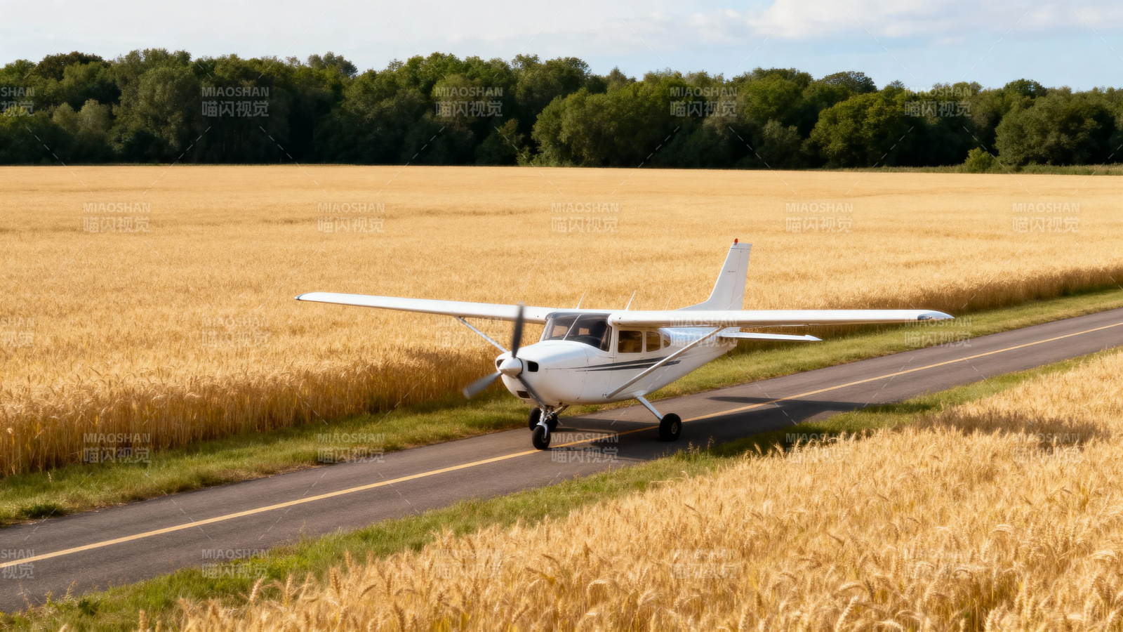 麦田小径上的白色飞机图片