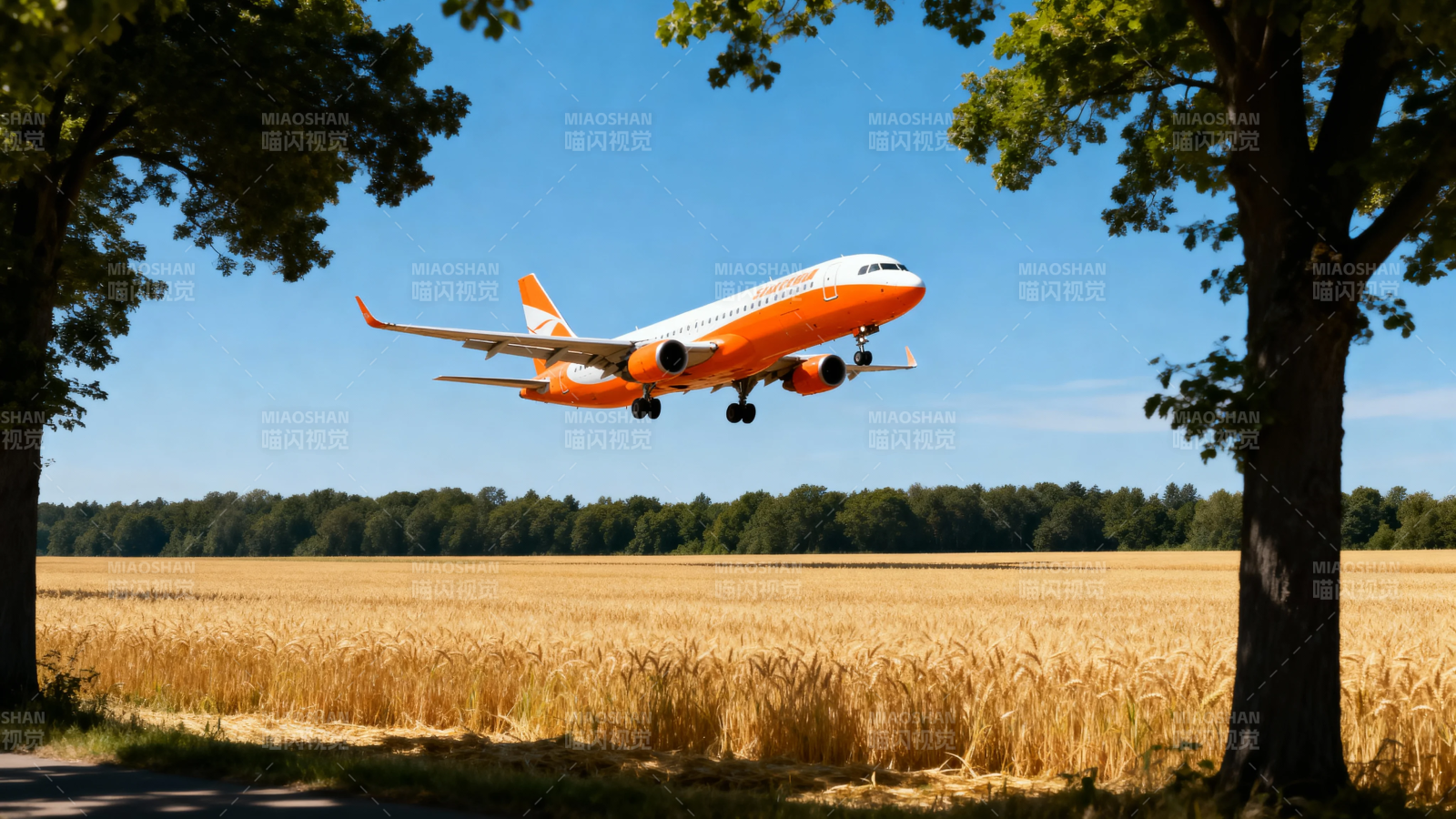 橙机掠麦田 蓝天树影间图片