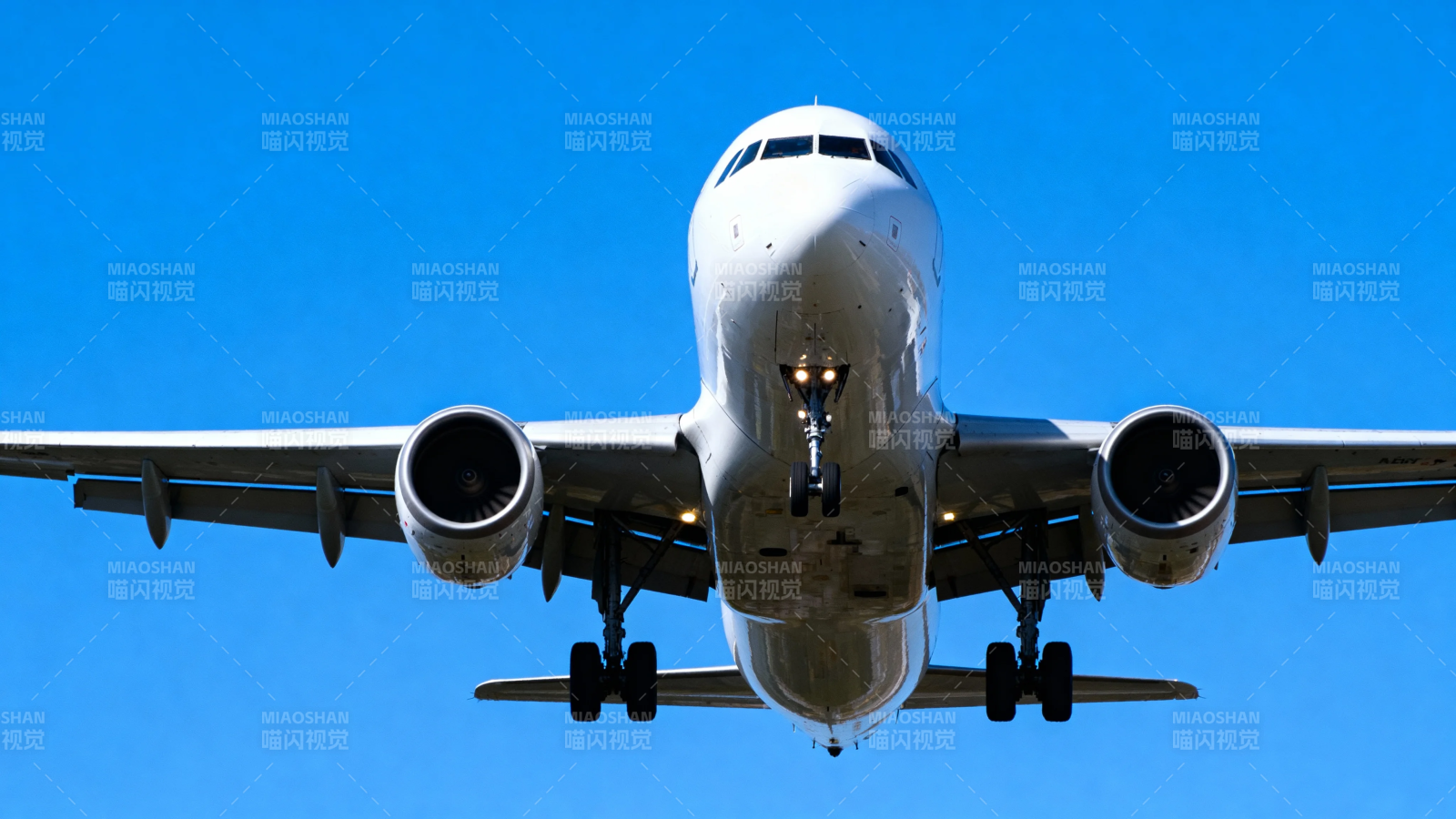 飞机俯冲蓝天 起落架已放下图片
