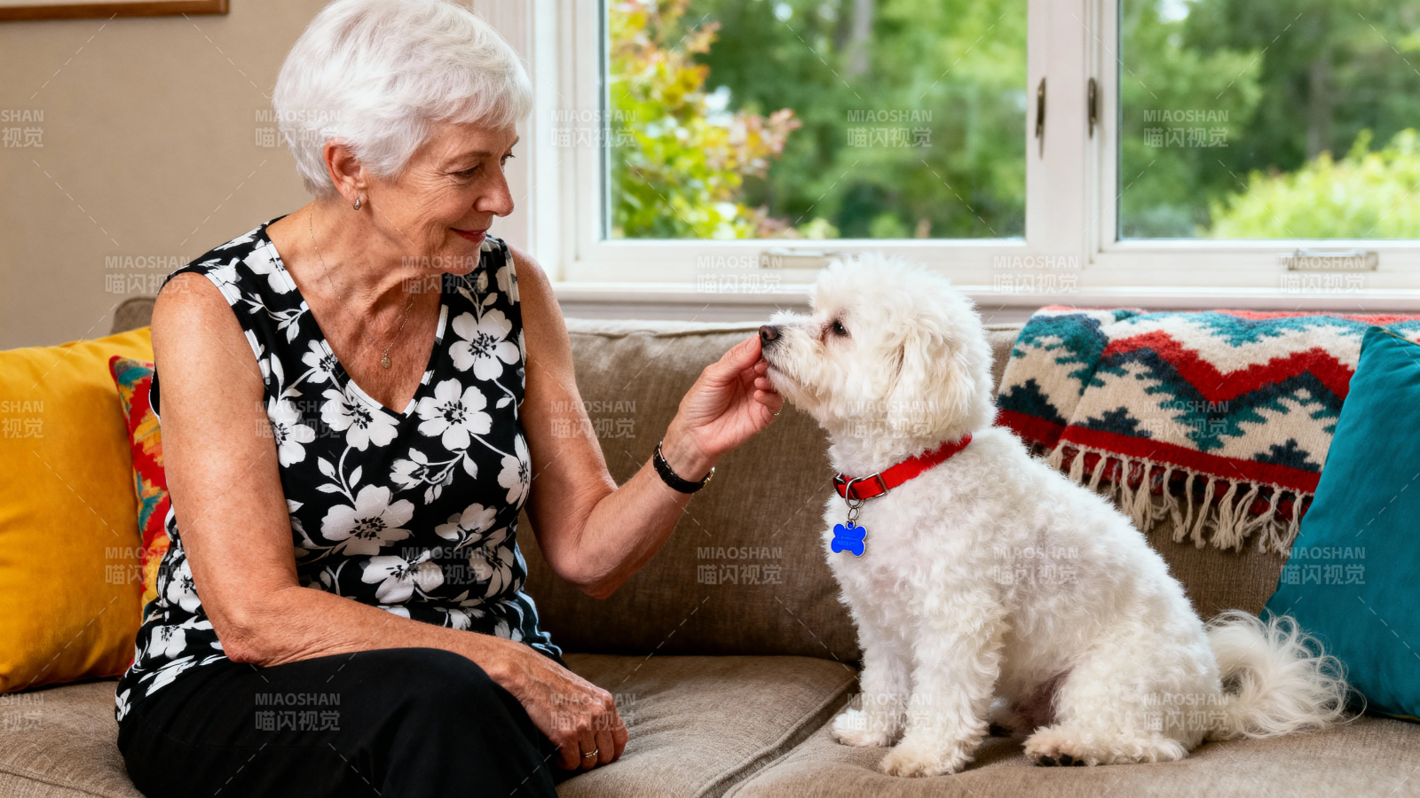 奶奶喂狗 温馨居家时光图片