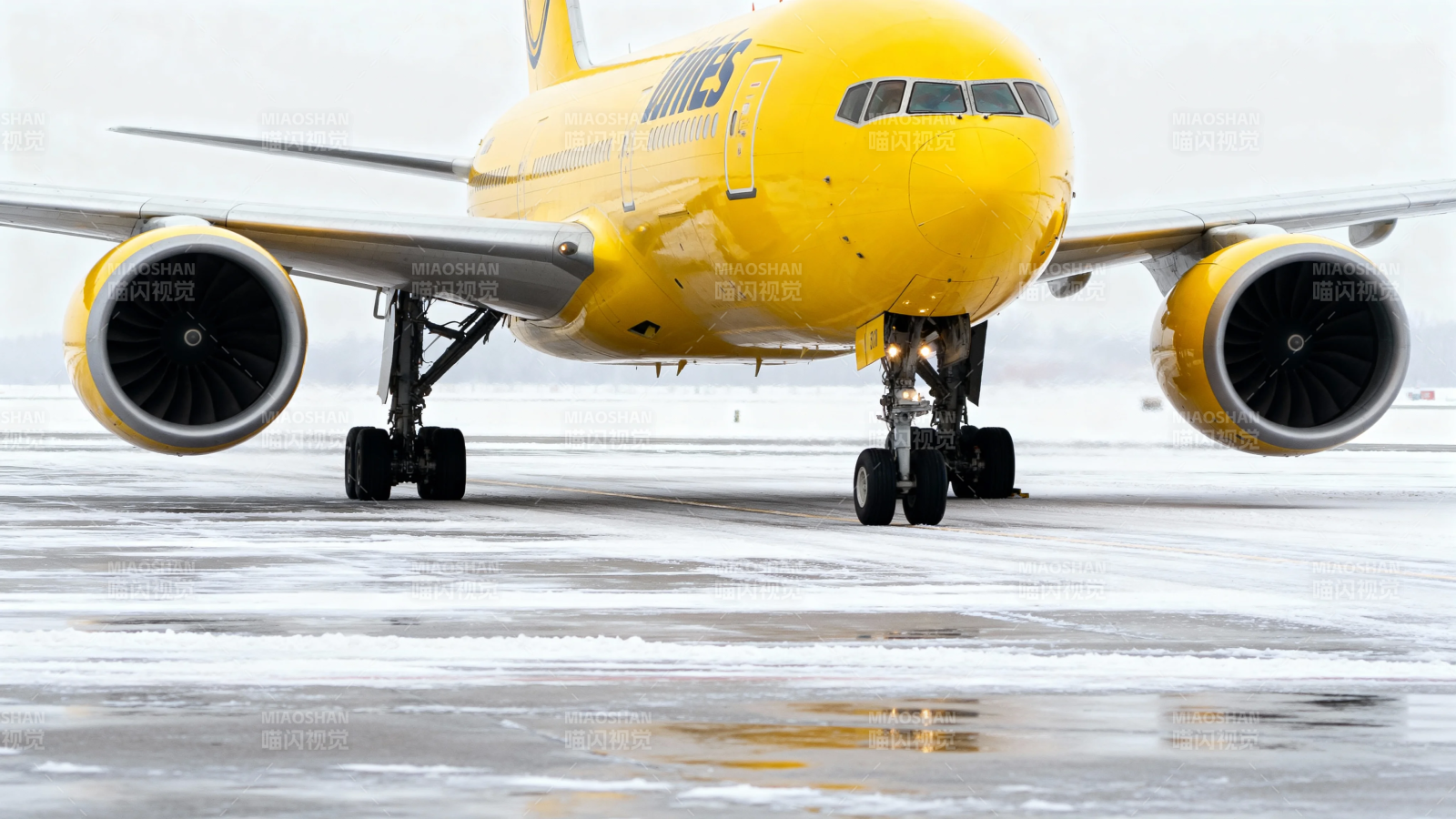 黄机雪地滑行中图片