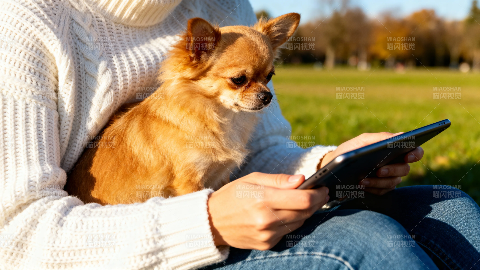 人抱狗 户外用平板图片