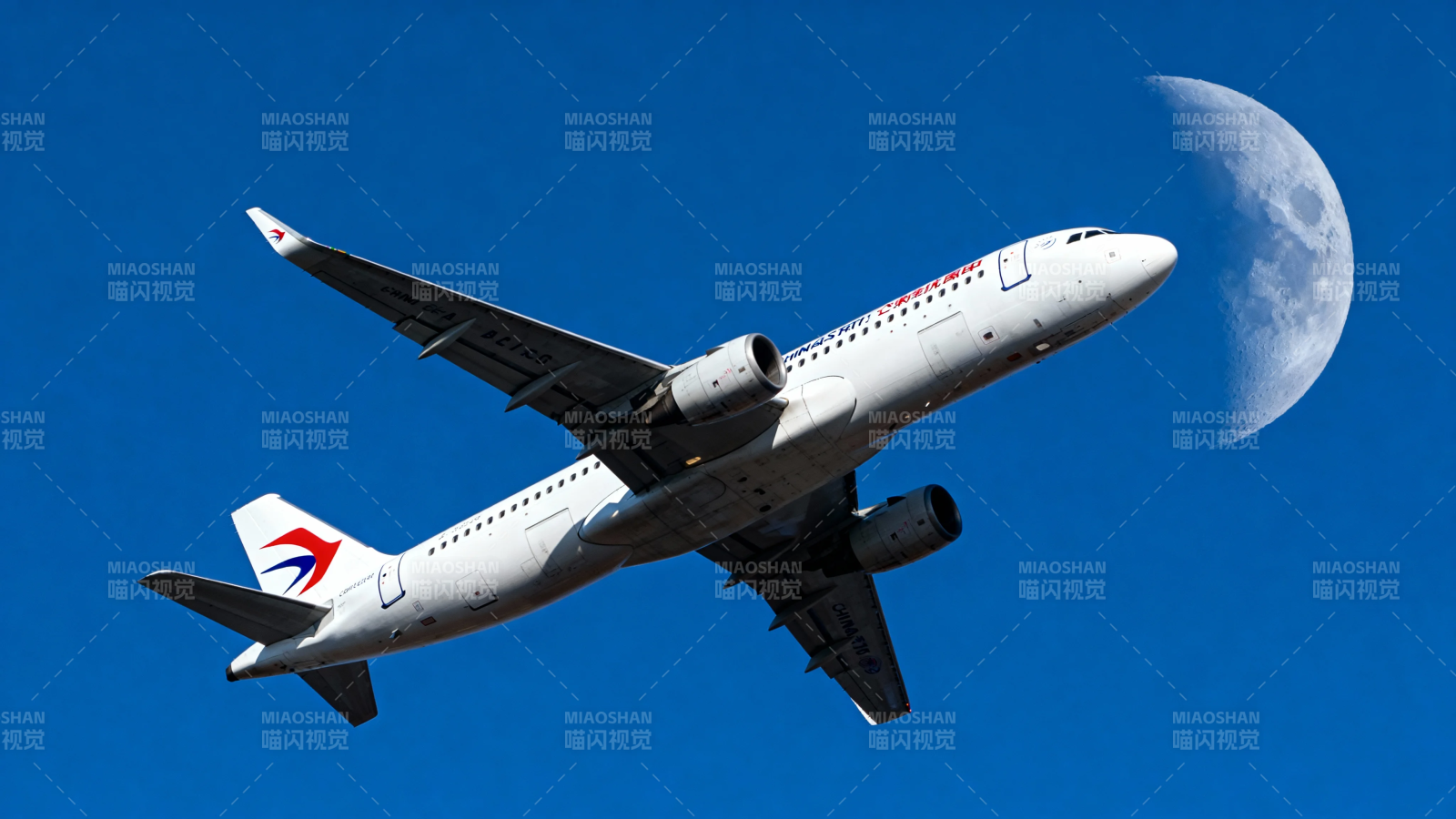 飞机伴月飞蓝天图片