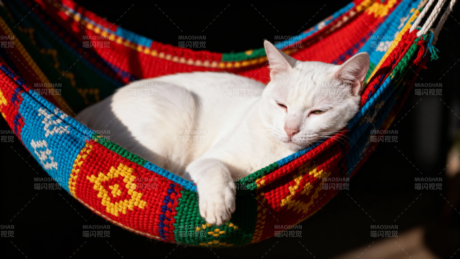 白猫酣睡彩吊床图片