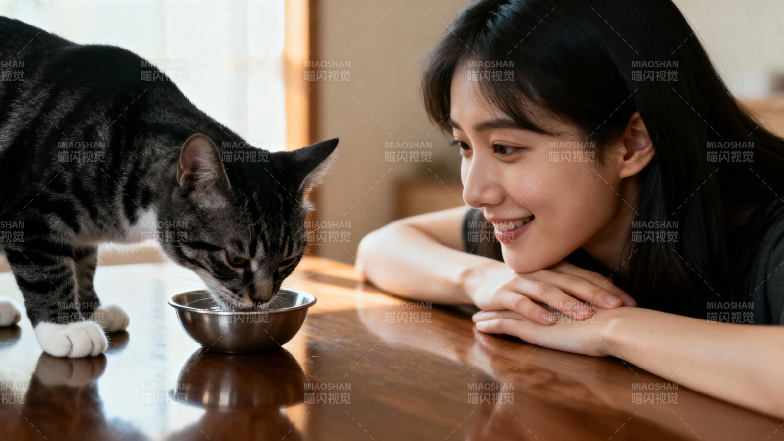 人猫共餐 温馨日常图片