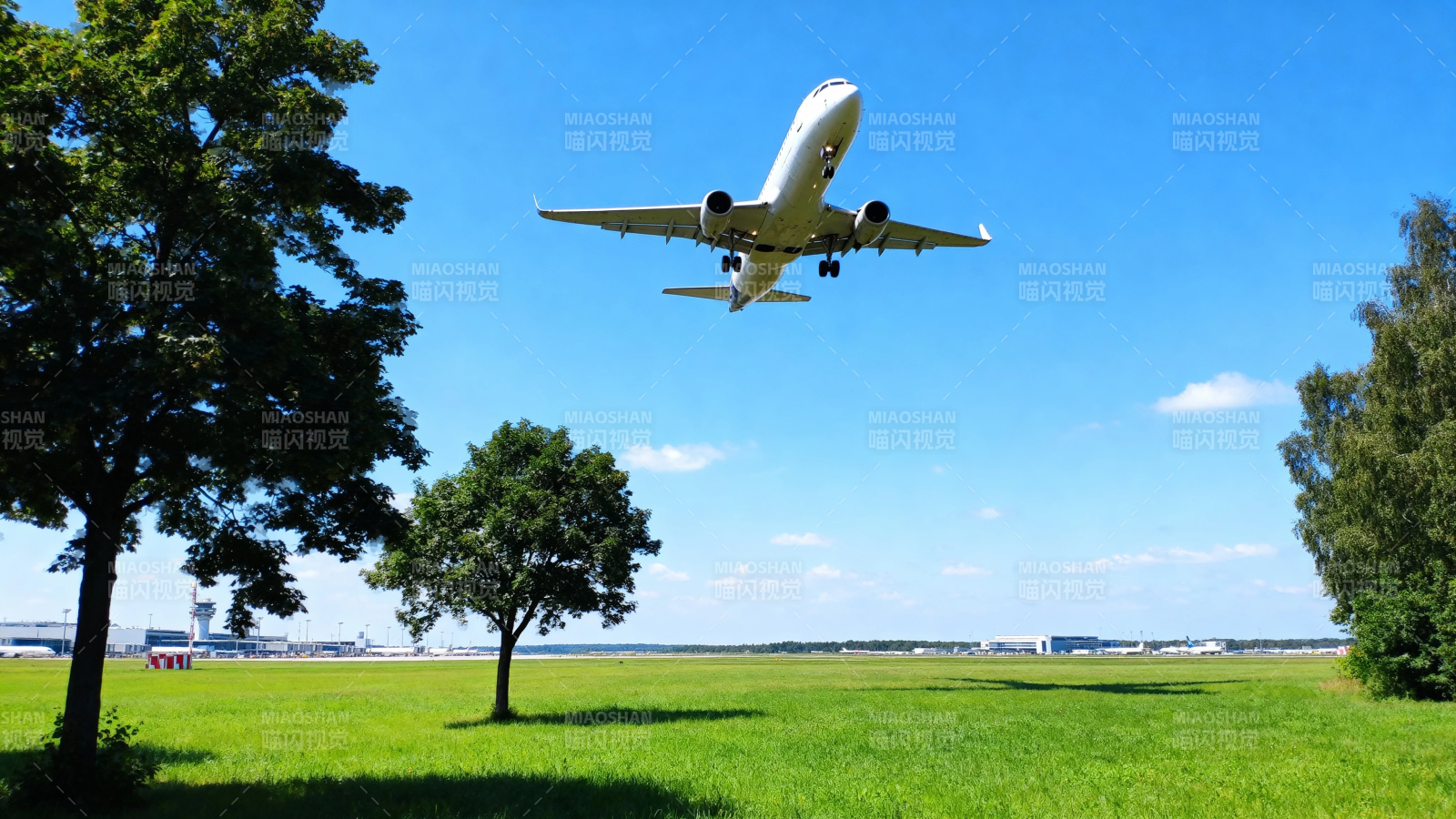 飞机低空飞越绿野蓝天图片
