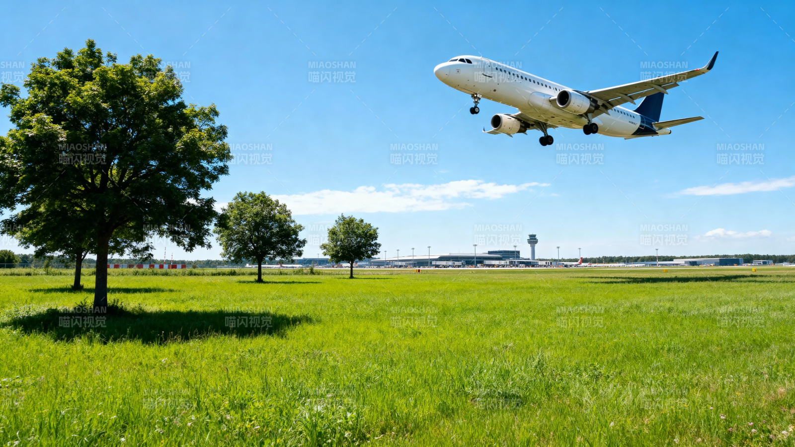 飞机降落绿野蓝天间图片