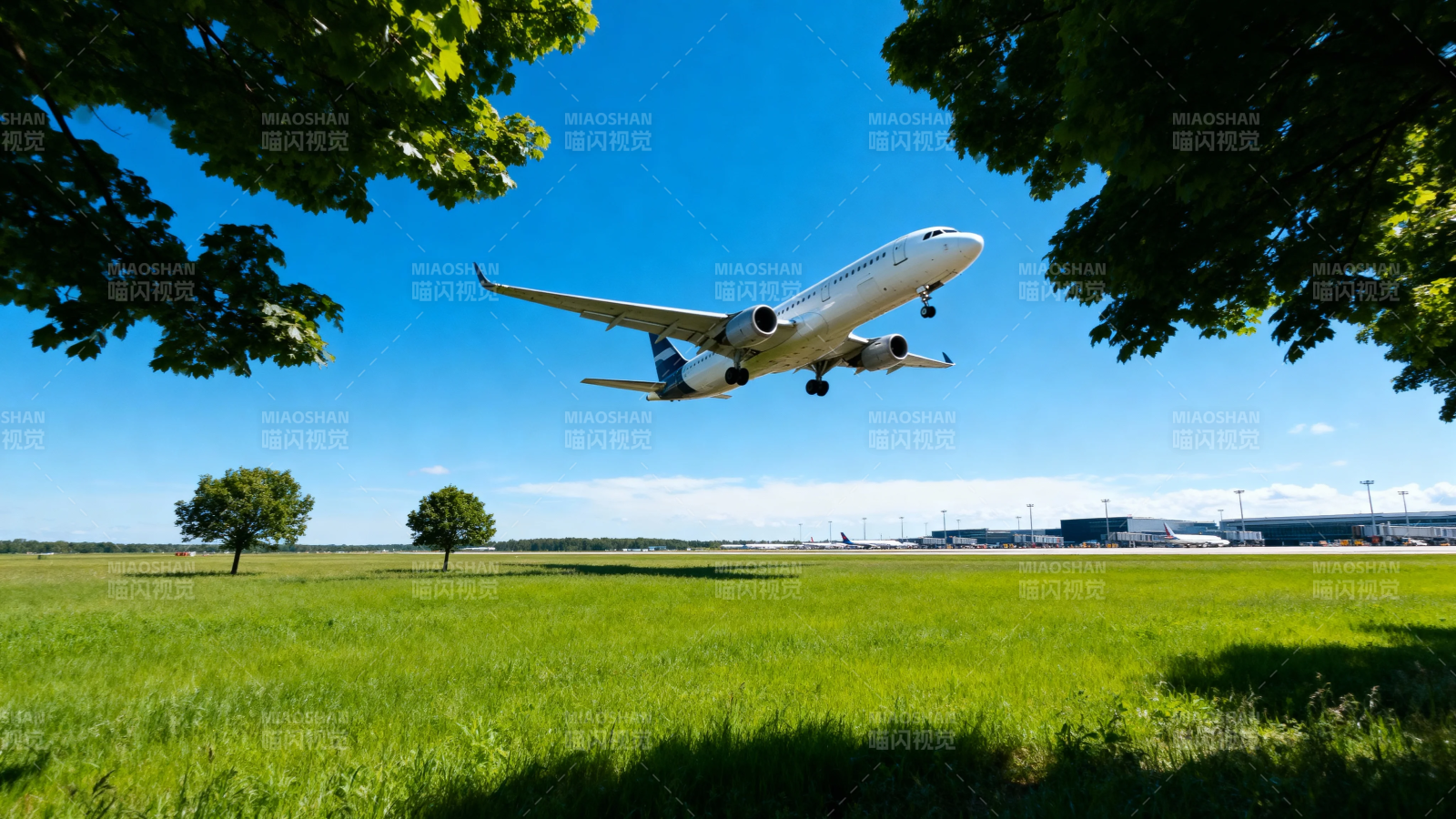 飞机低空掠过绿野蓝天图片