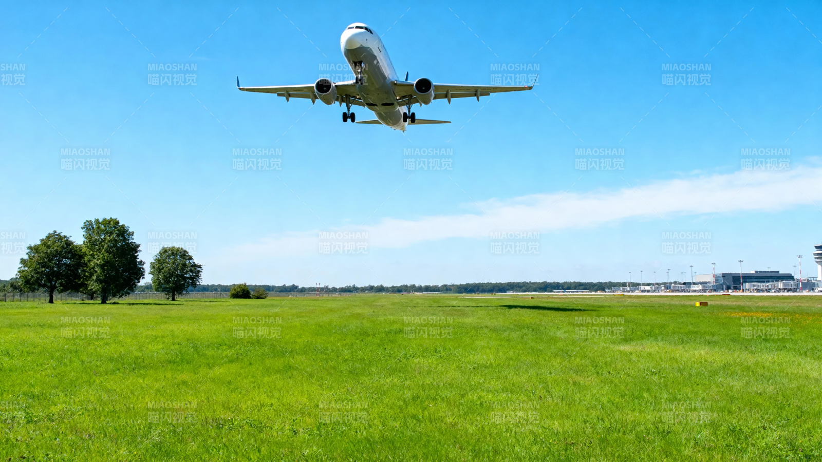 飞机降落绿野蓝天间图片