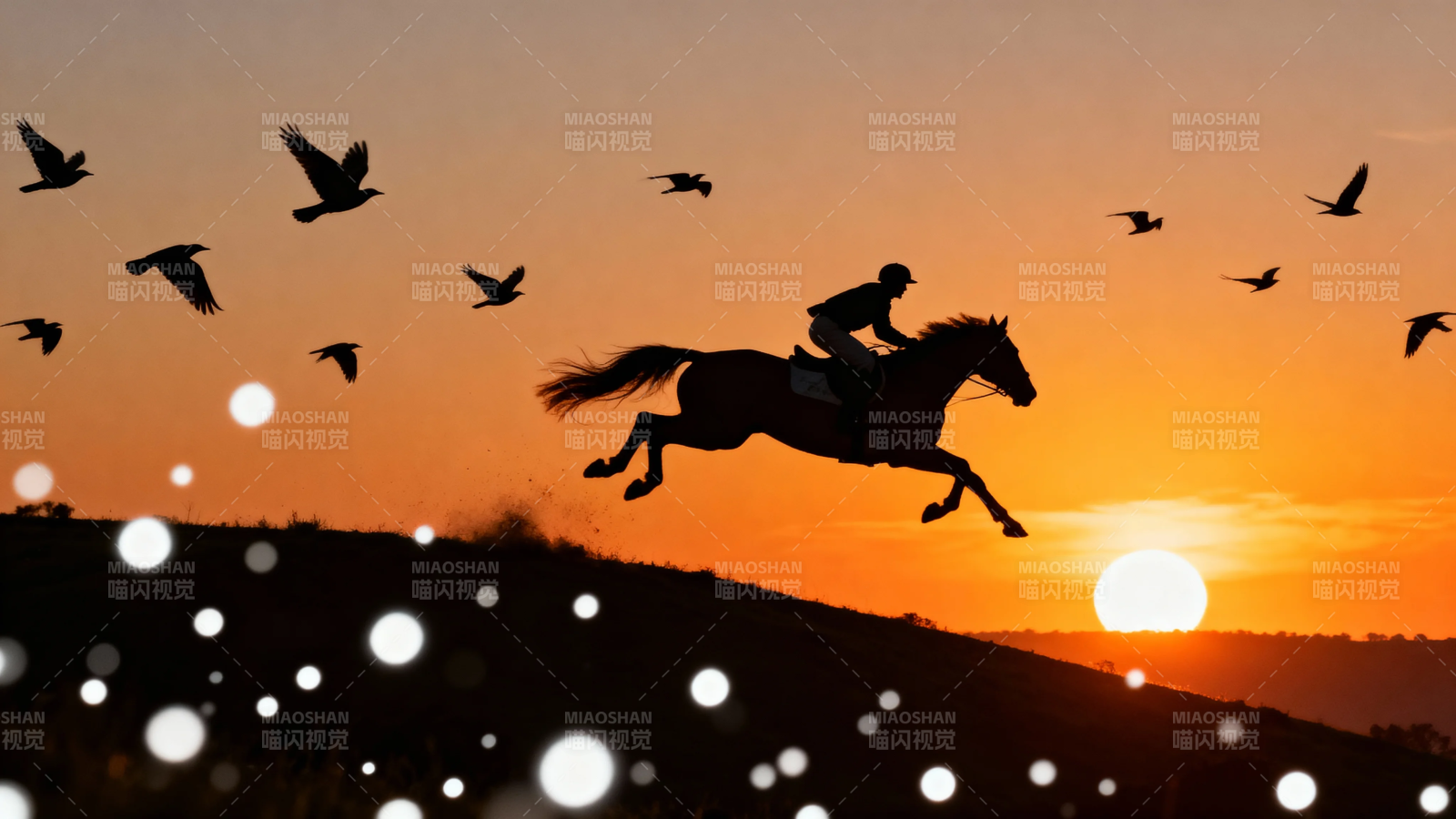 夕阳策马 飞鸟共舞图片