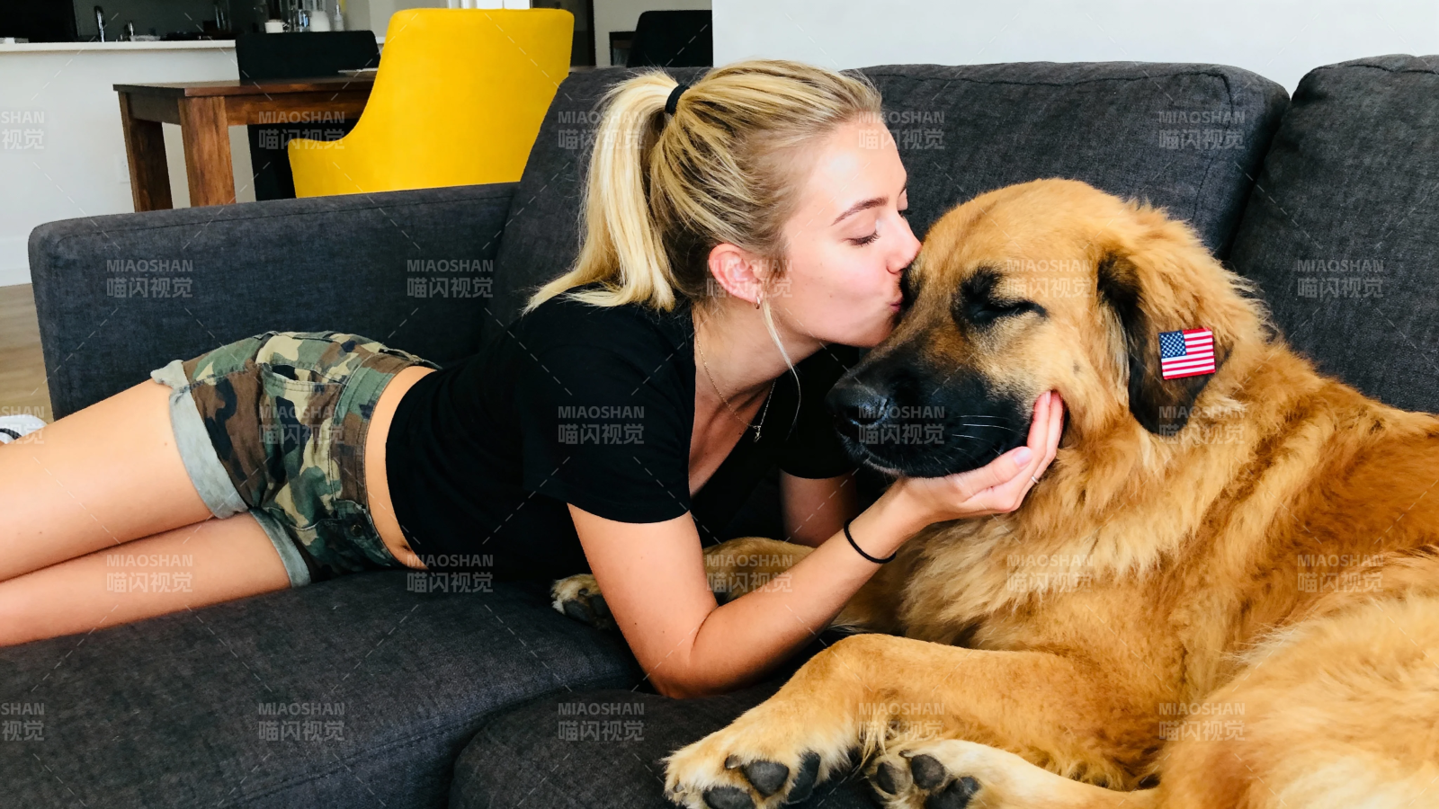 人狗亲昵 沙发上的温情时刻图片