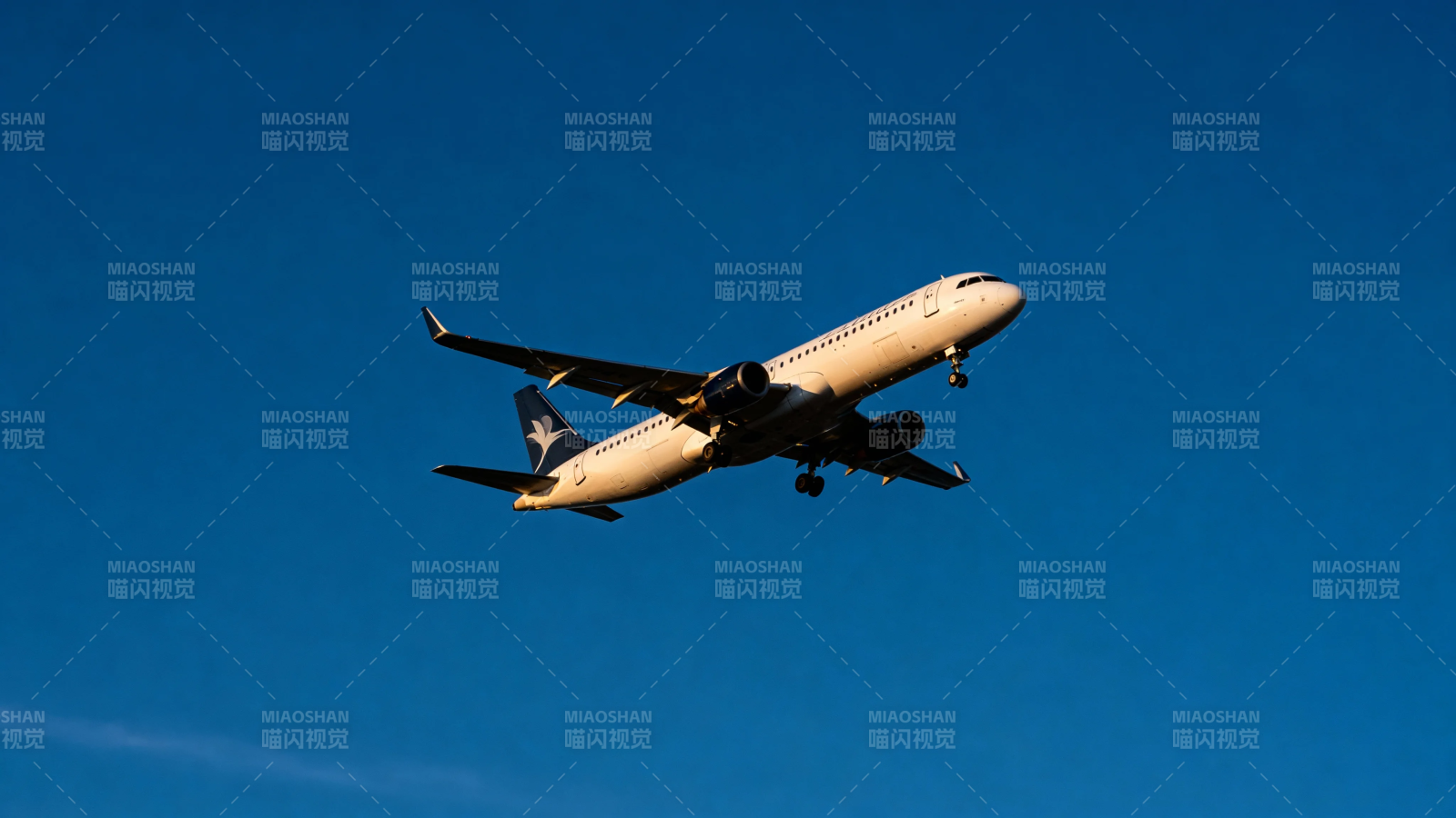 蓝天客机翱翔中图片