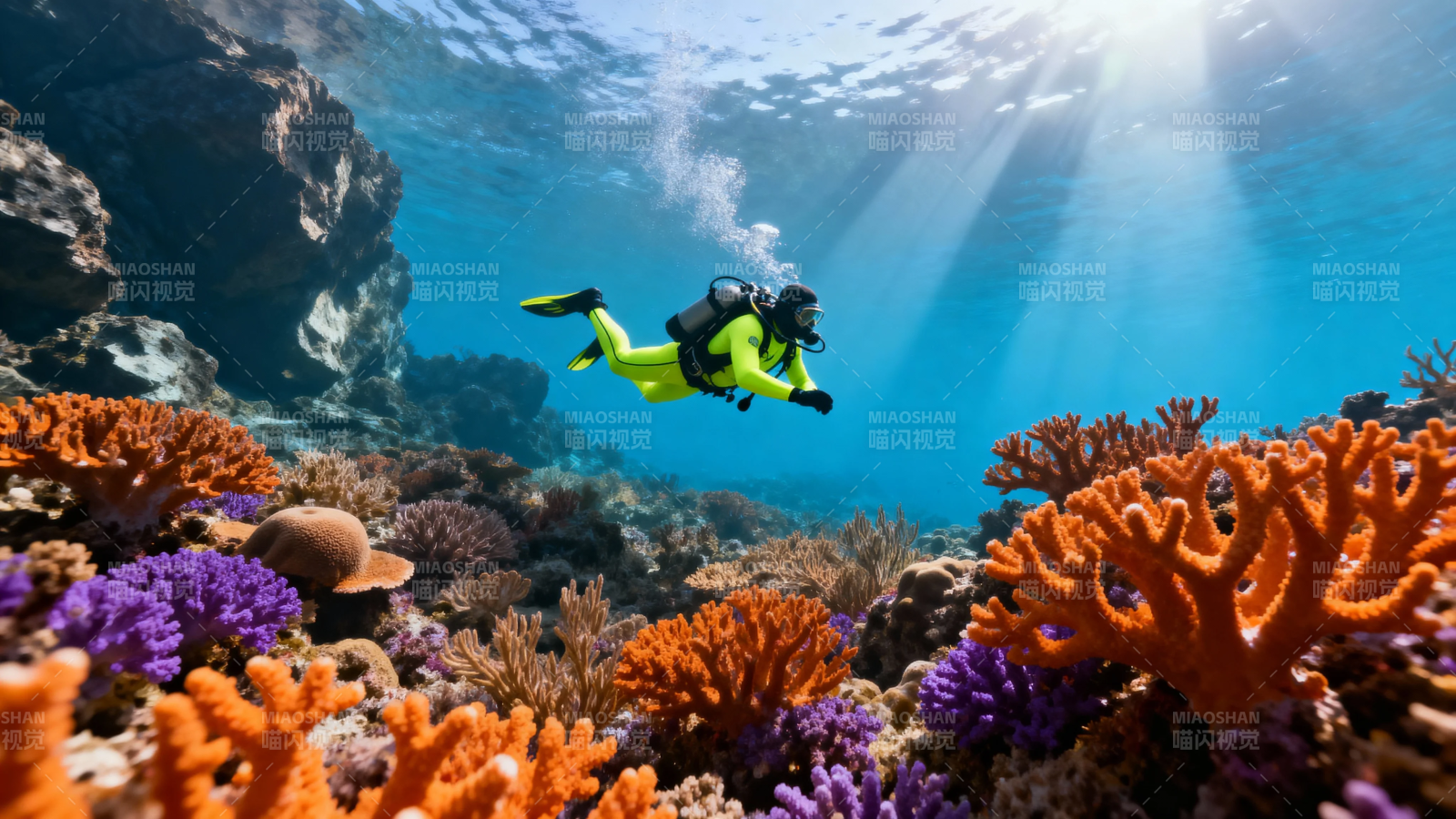 潜水员探秘五彩珊瑚海图片