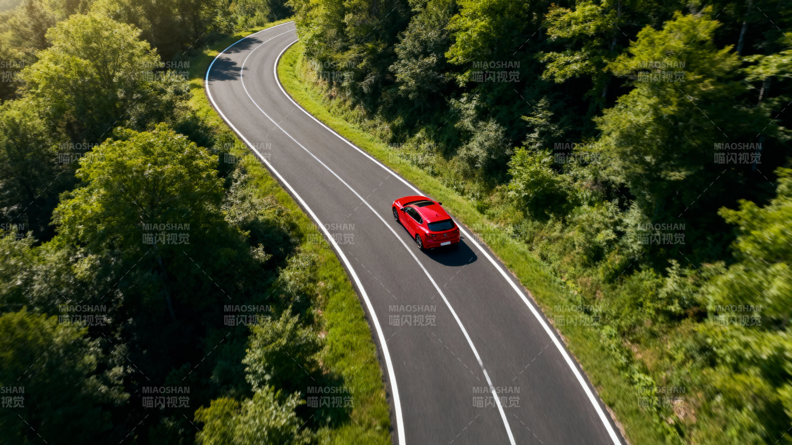 红车蜿蜒绿林间图片