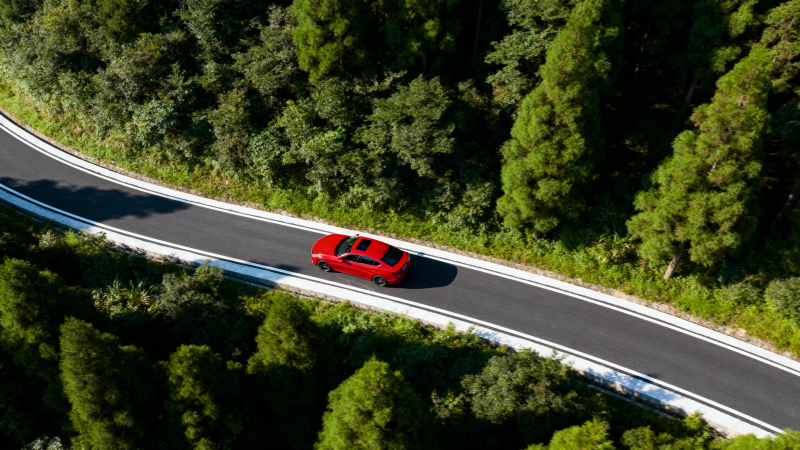 红车穿行绿林弯道图片