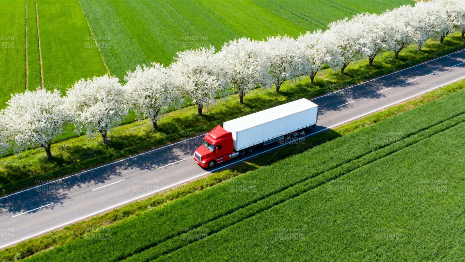 红卡车穿行花海绿野间图片