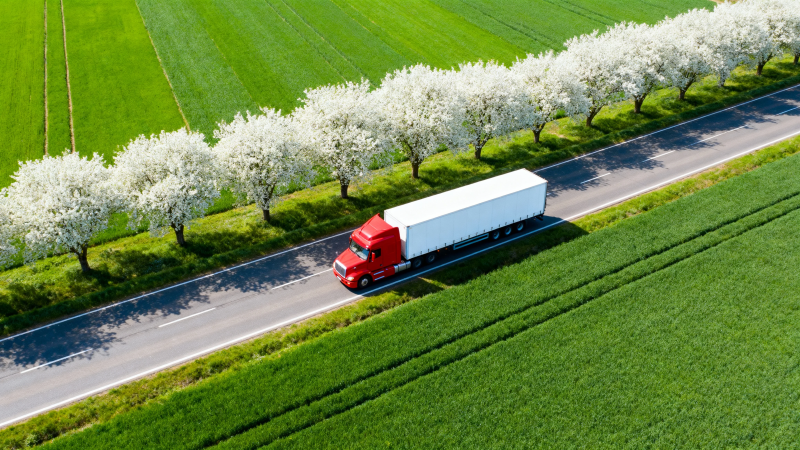 红卡车穿行花海绿野间图片