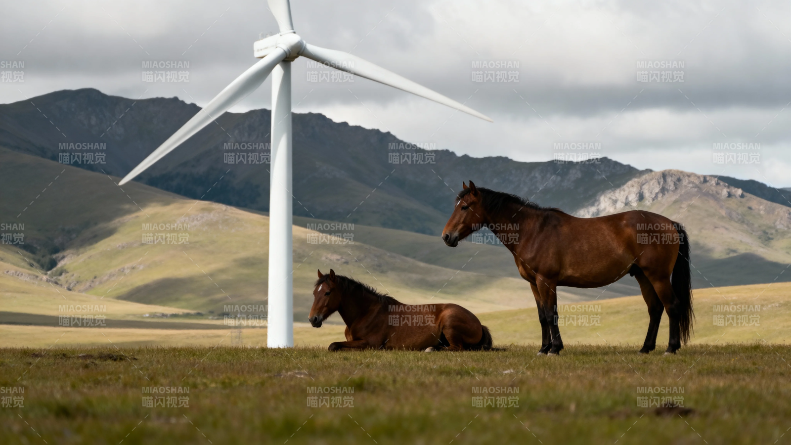 风车下的马群图片