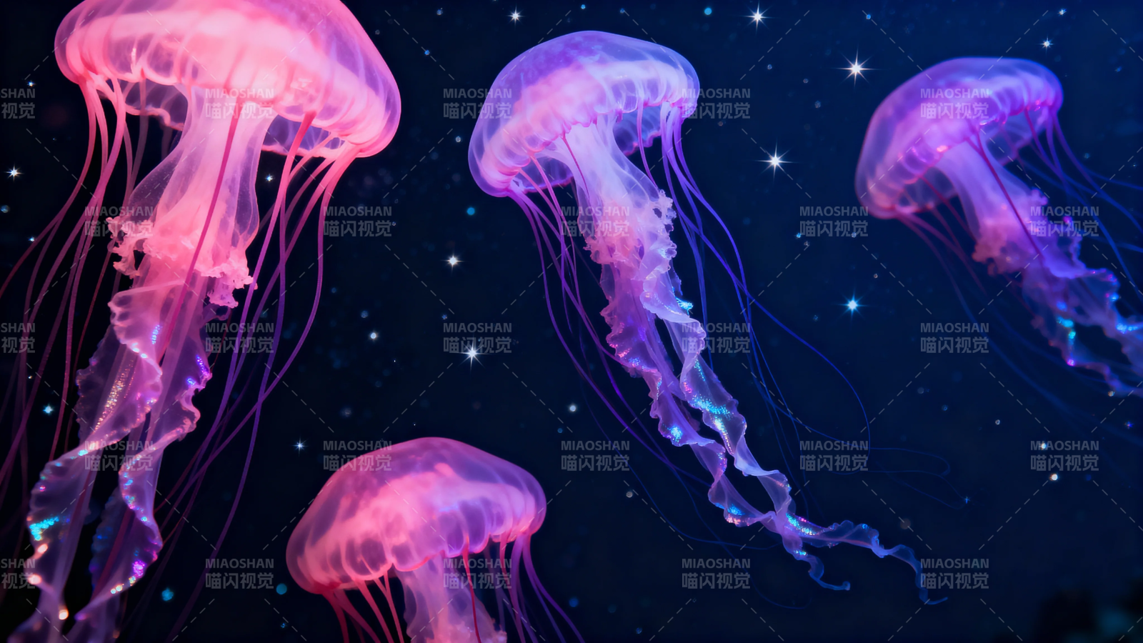 星空下的梦幻水母舞图片