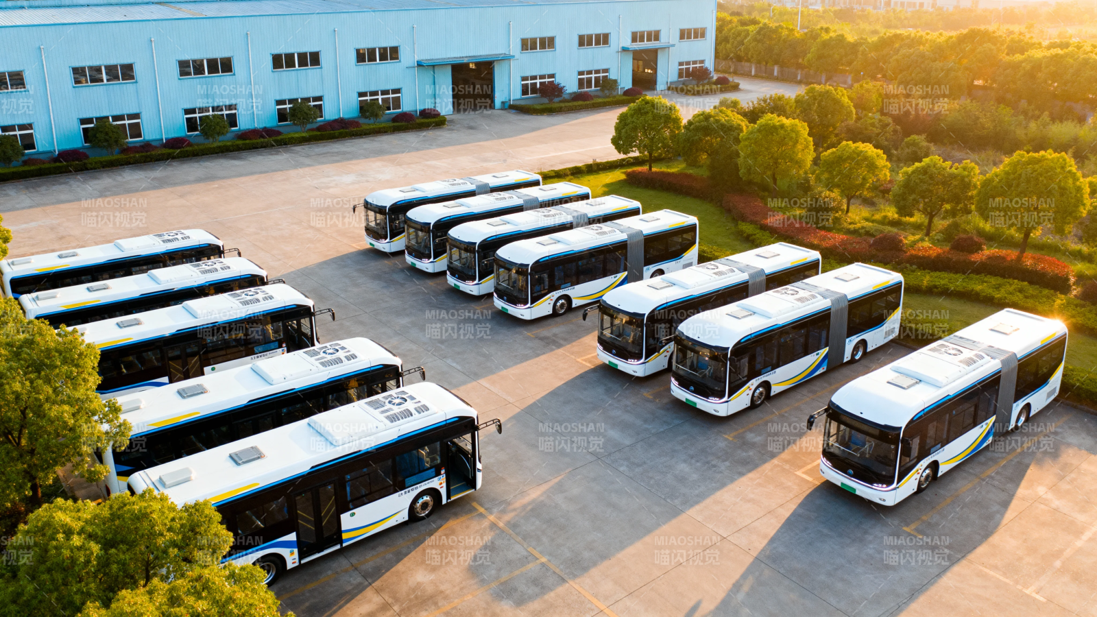 新能源巴士整齐列阵厂区图片