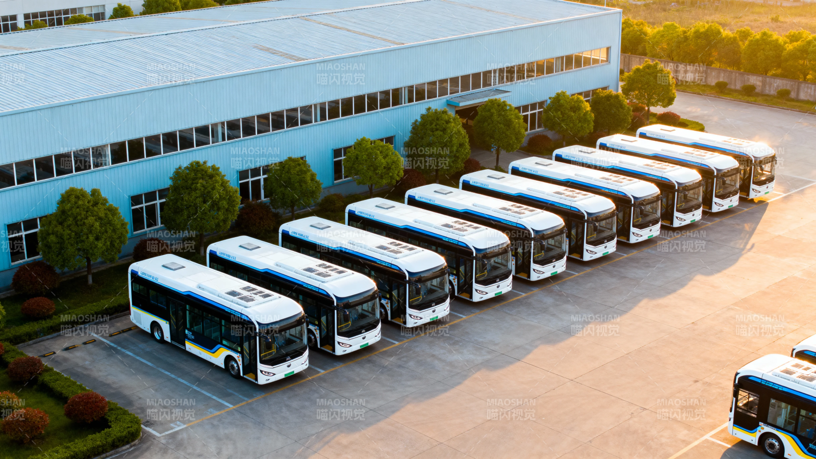 新能源公交整齐列阵待命图片