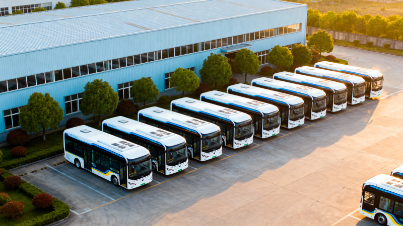 新能源公交整齐列阵待命图片