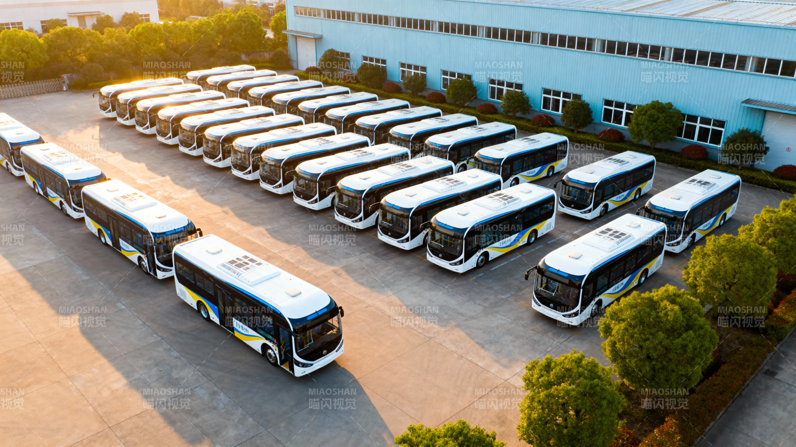 整齐排列的新能源公交车队图片