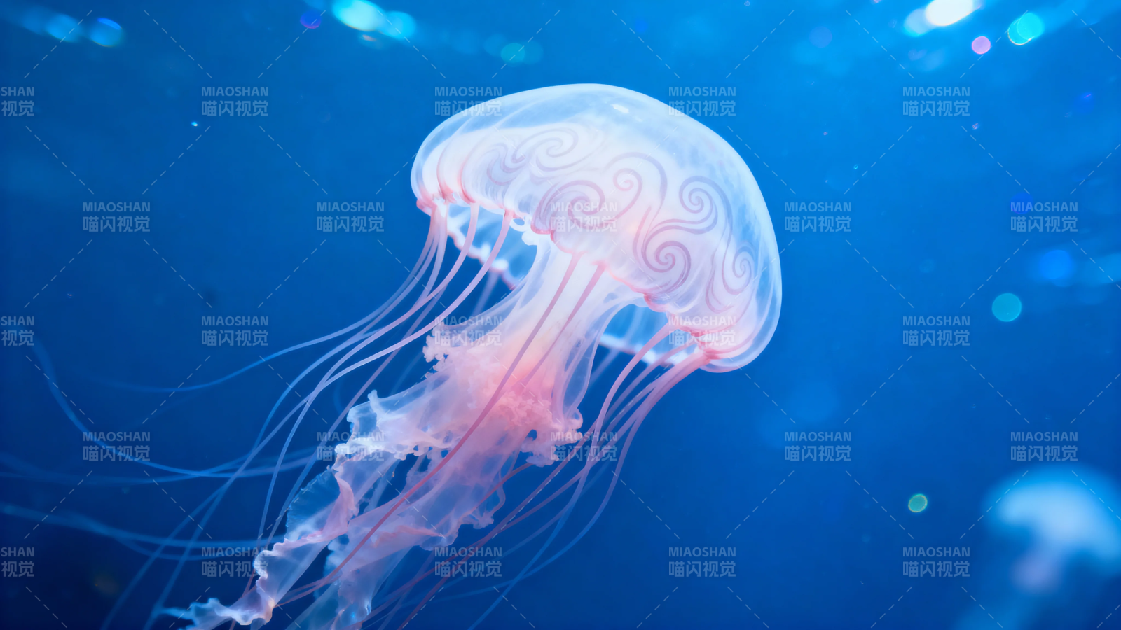 深海荧光水母舞图片