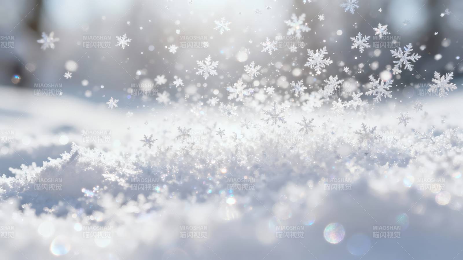 雪花纷飞 冬日静谧美景图片