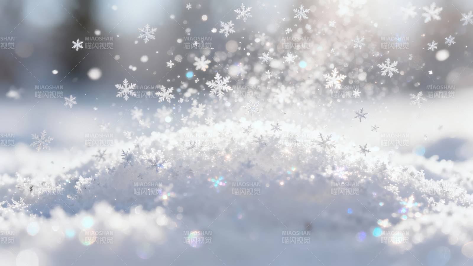 雪花纷飞 冬日梦幻景图片