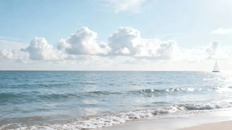 海天一色 帆影点点图片