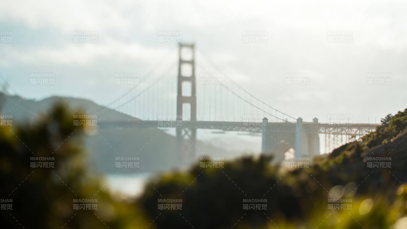 金门大桥雾中若隐若现图片