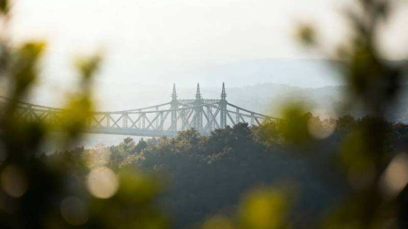 雾中大桥 绿意朦胧图片