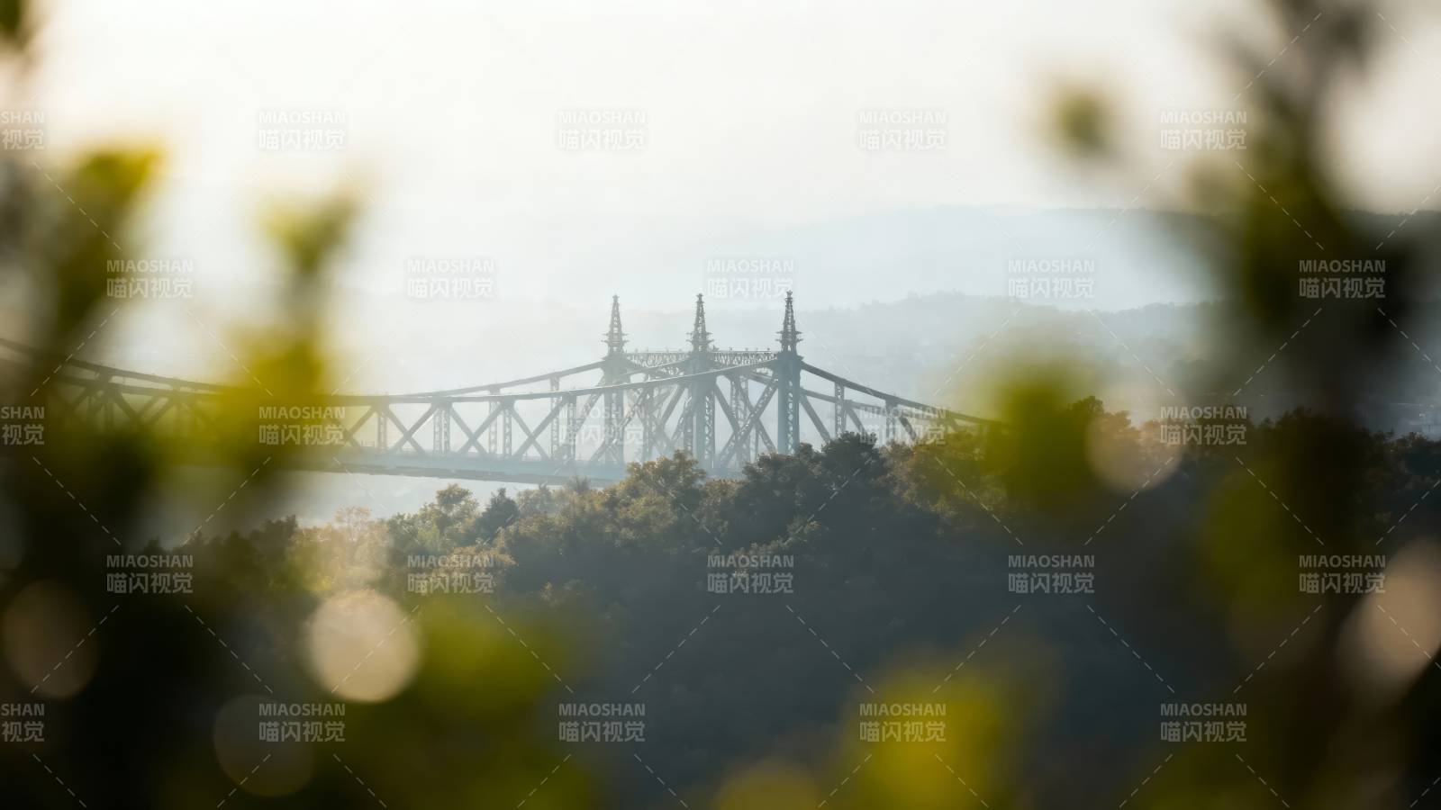 雾中大桥 绿意朦胧图片