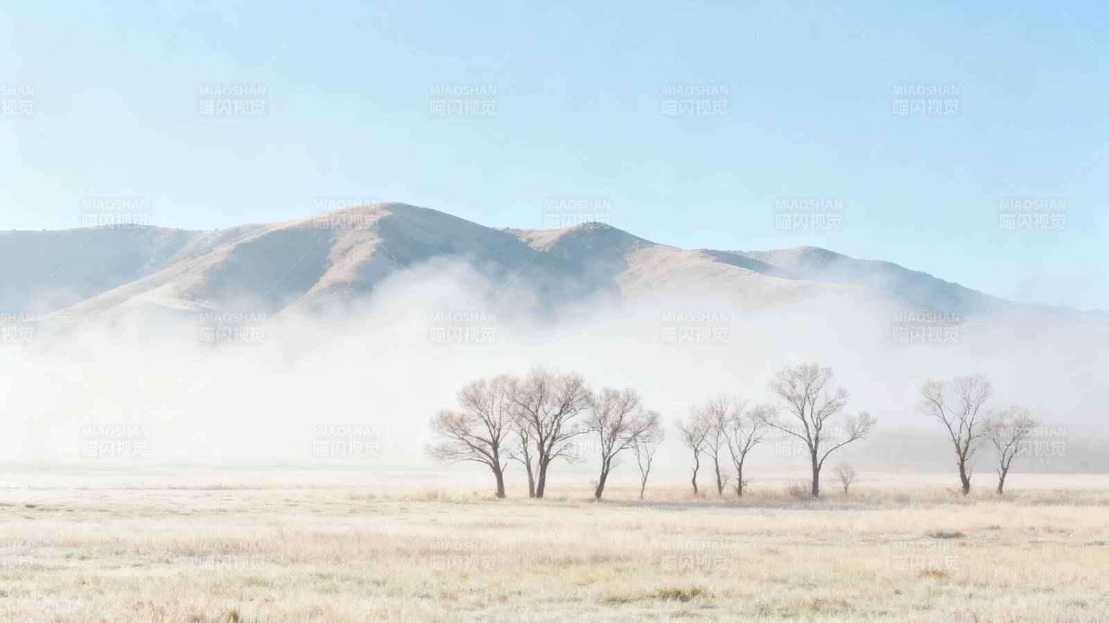 雾锁山峦 枯树静立原野图片