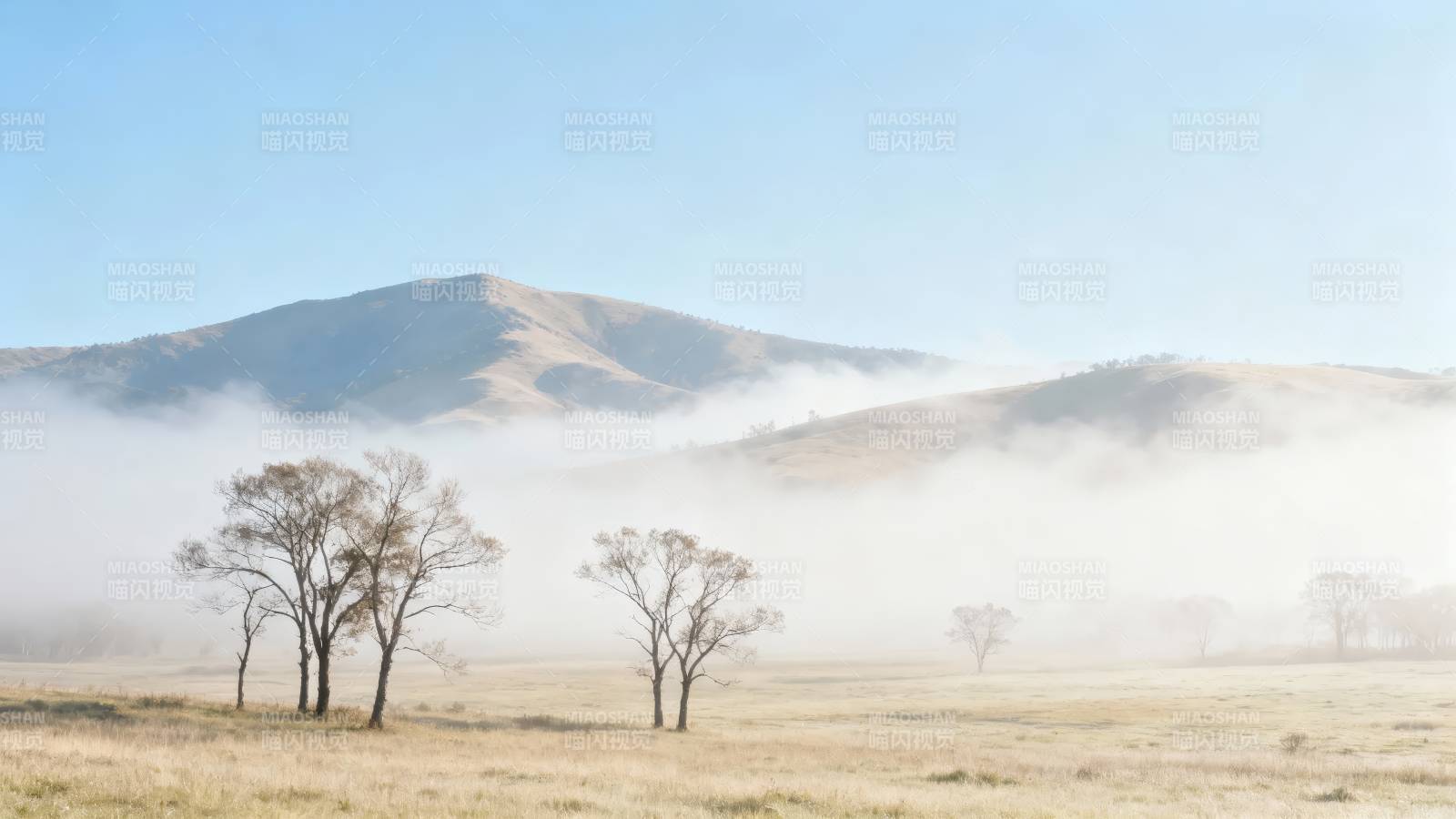 雾锁山原 枯树静立晨景图片
