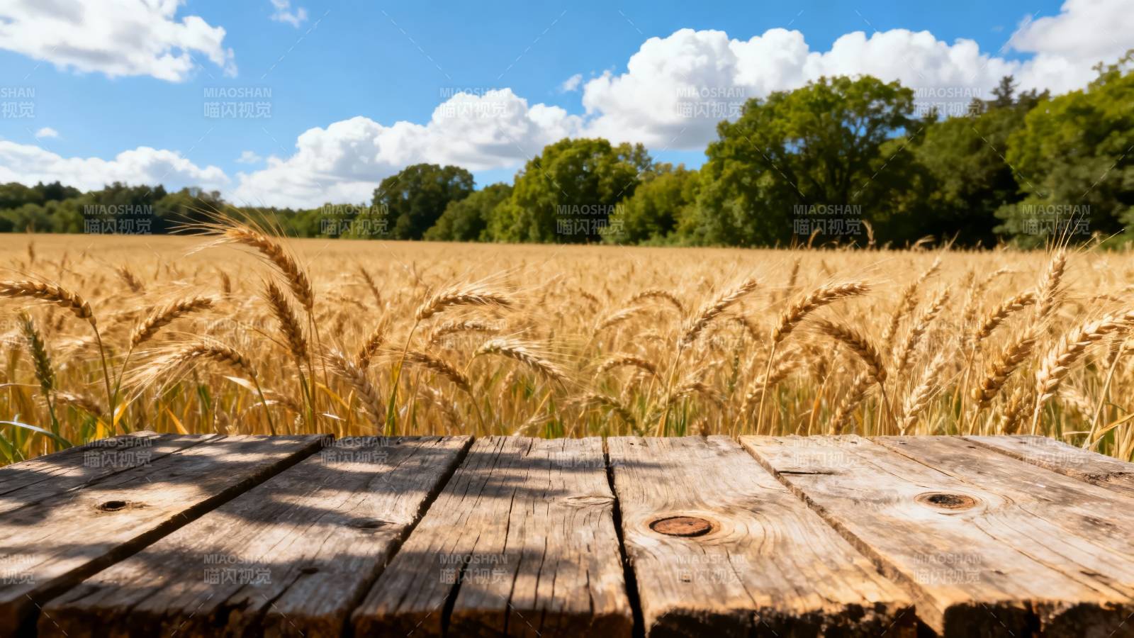 麦田木台 蓝天白云下图片