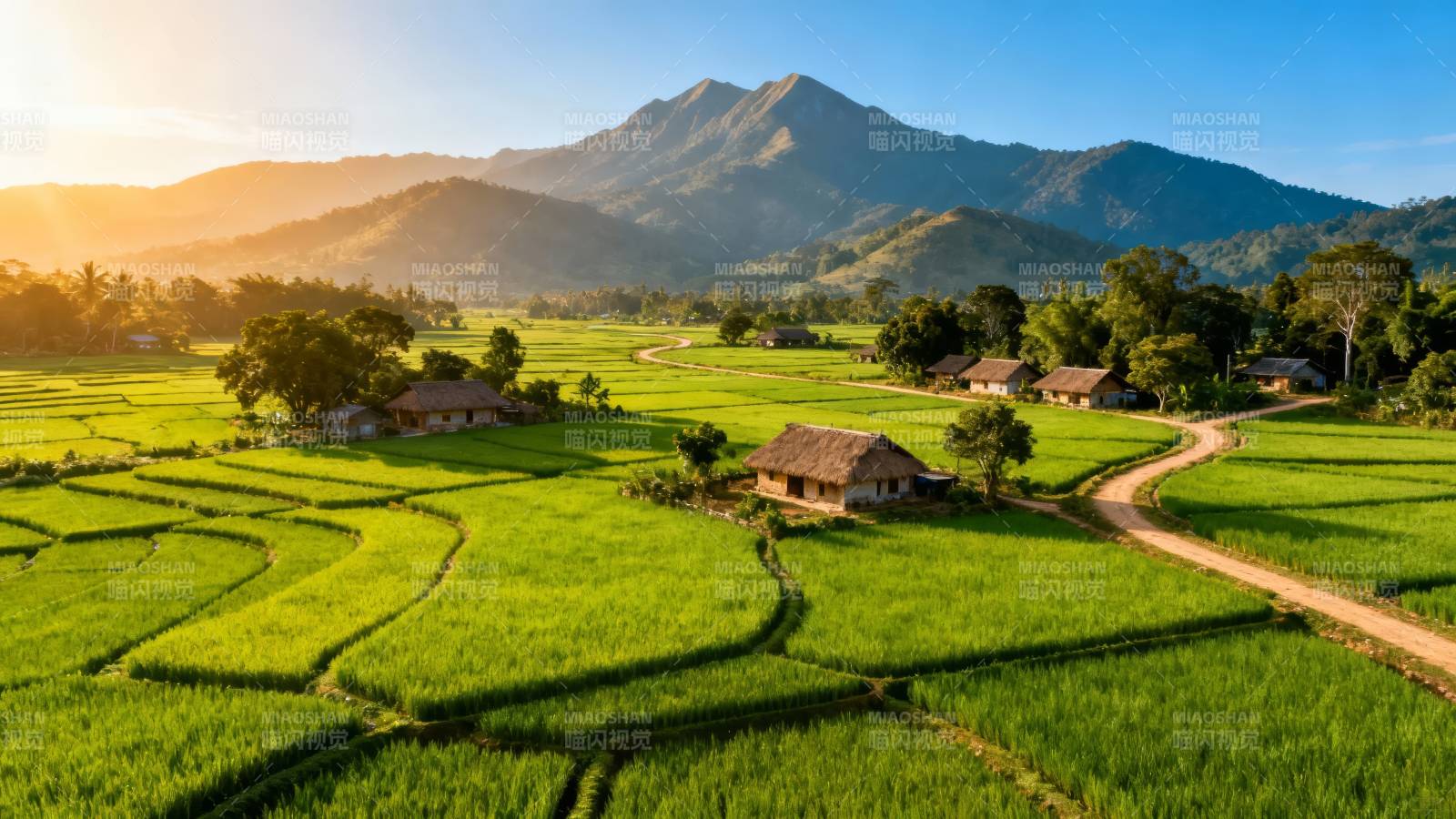 青山绿田 晨光映乡野图片