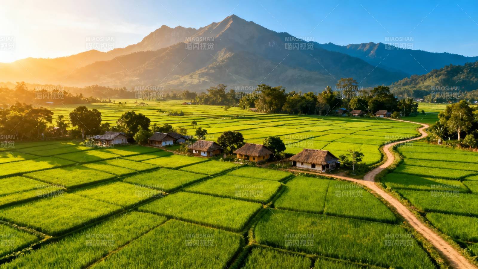 青山环抱 稻田如画图片