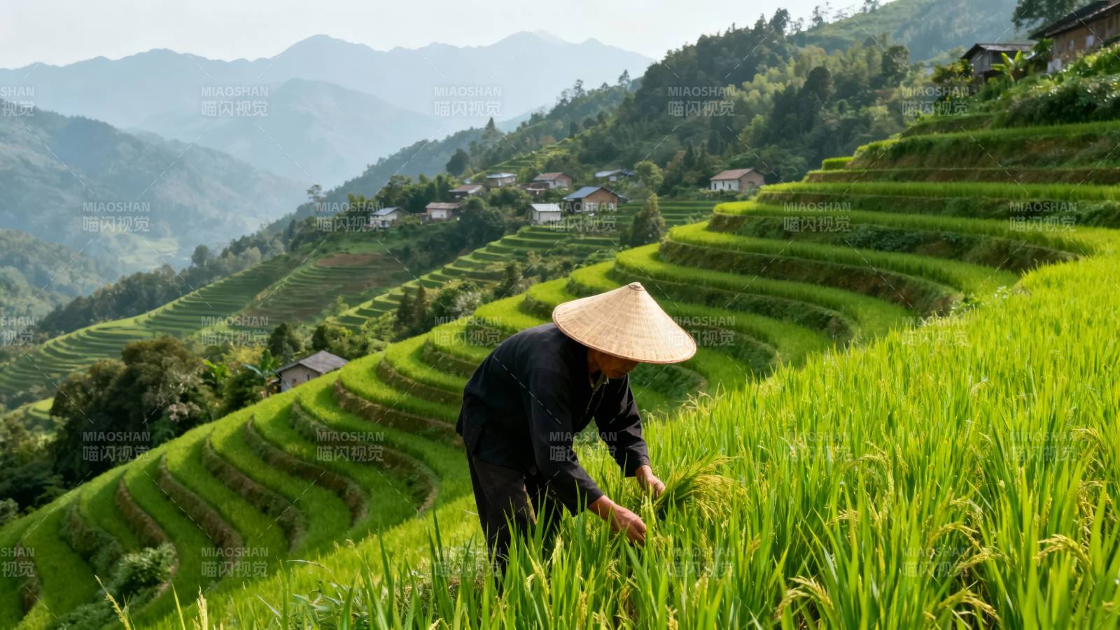 梯田农夫戴斗笠劳作图片