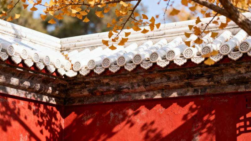 红墙白瓦映秋叶图片