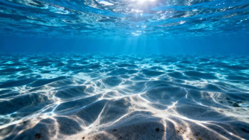 海底阳光洒落沙纹间图片